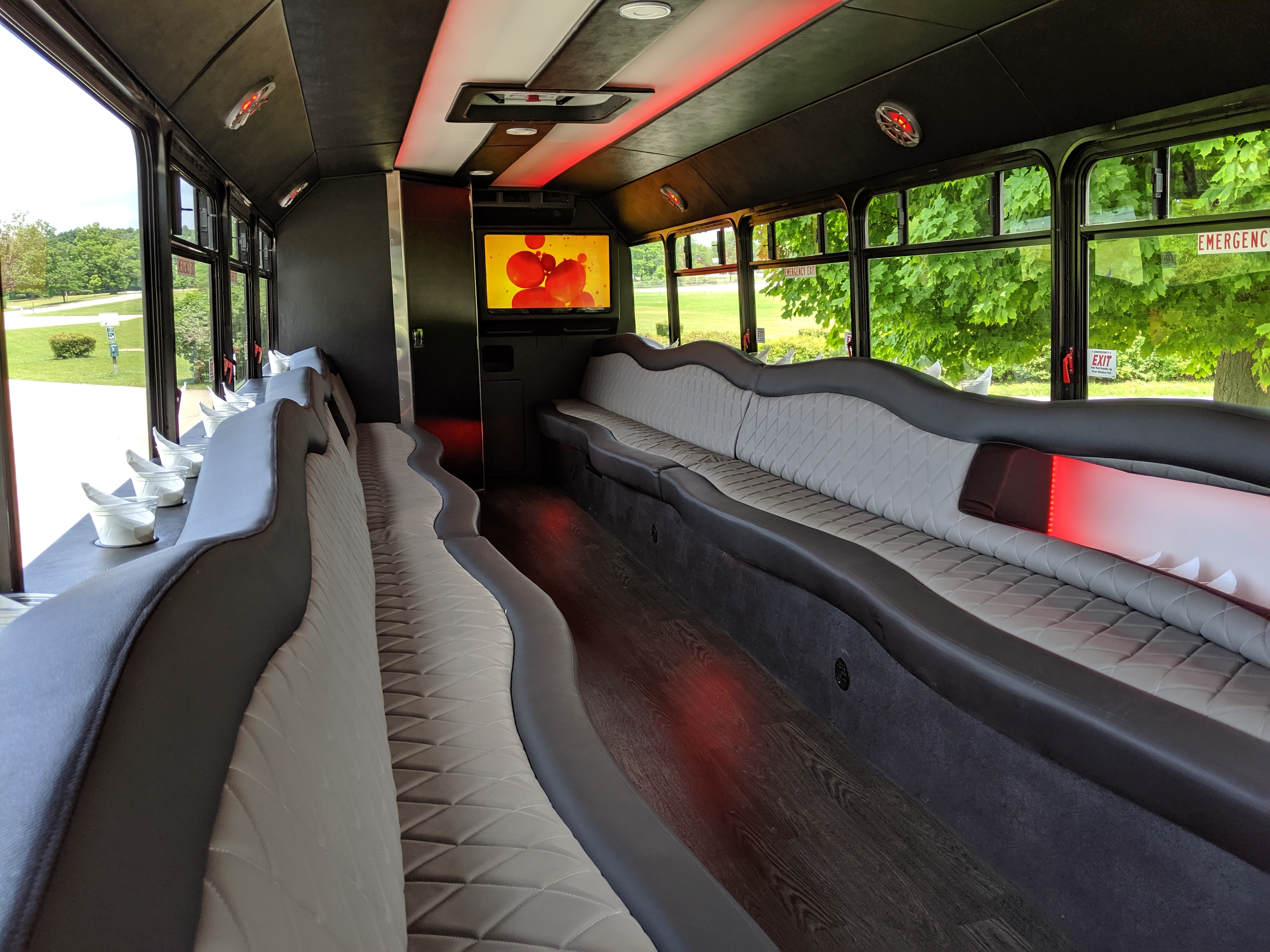 30 Passenger Luxury Limo Bus Interior