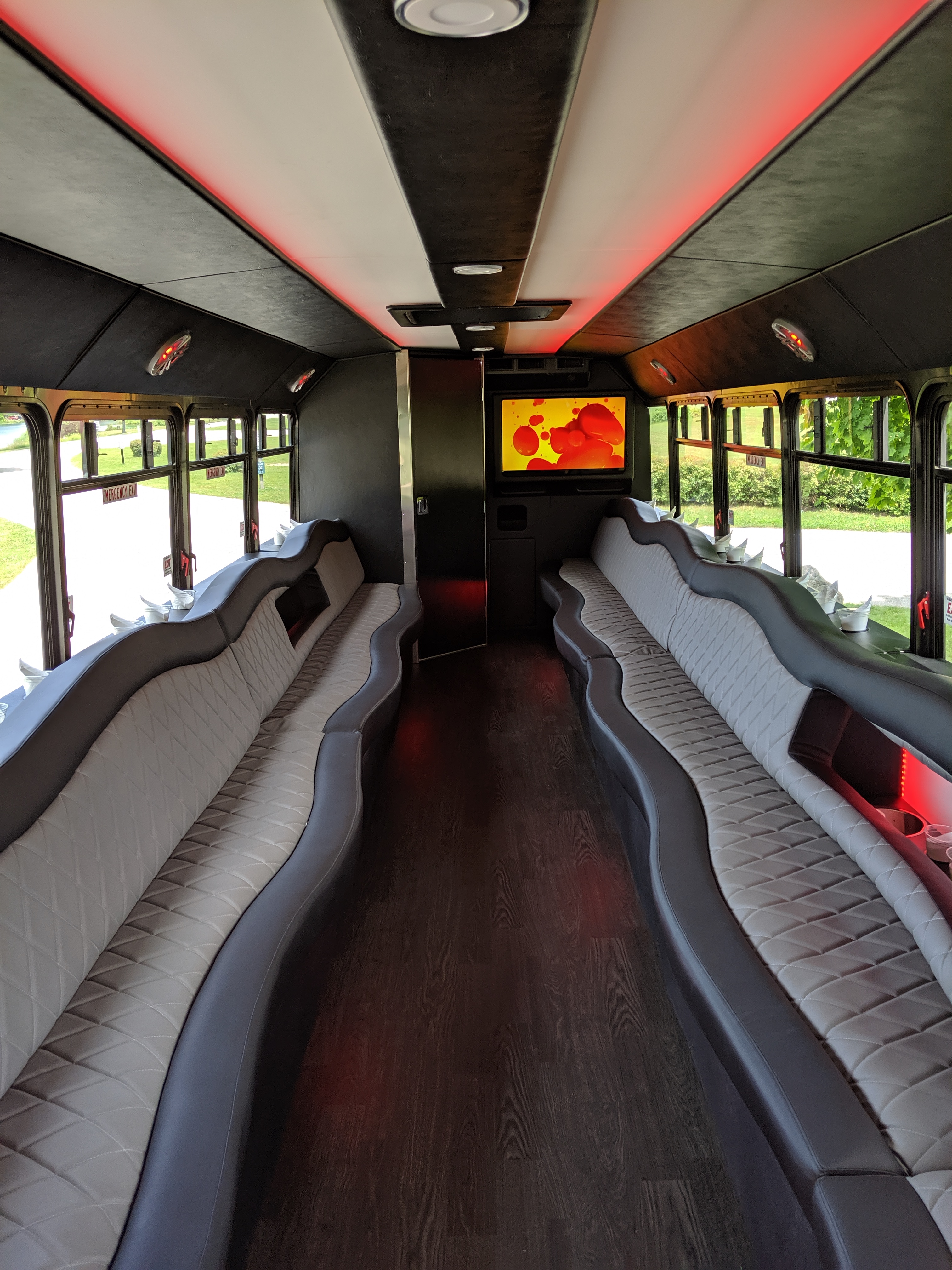 30 Passenger Luxury Limo Bus Interior 3